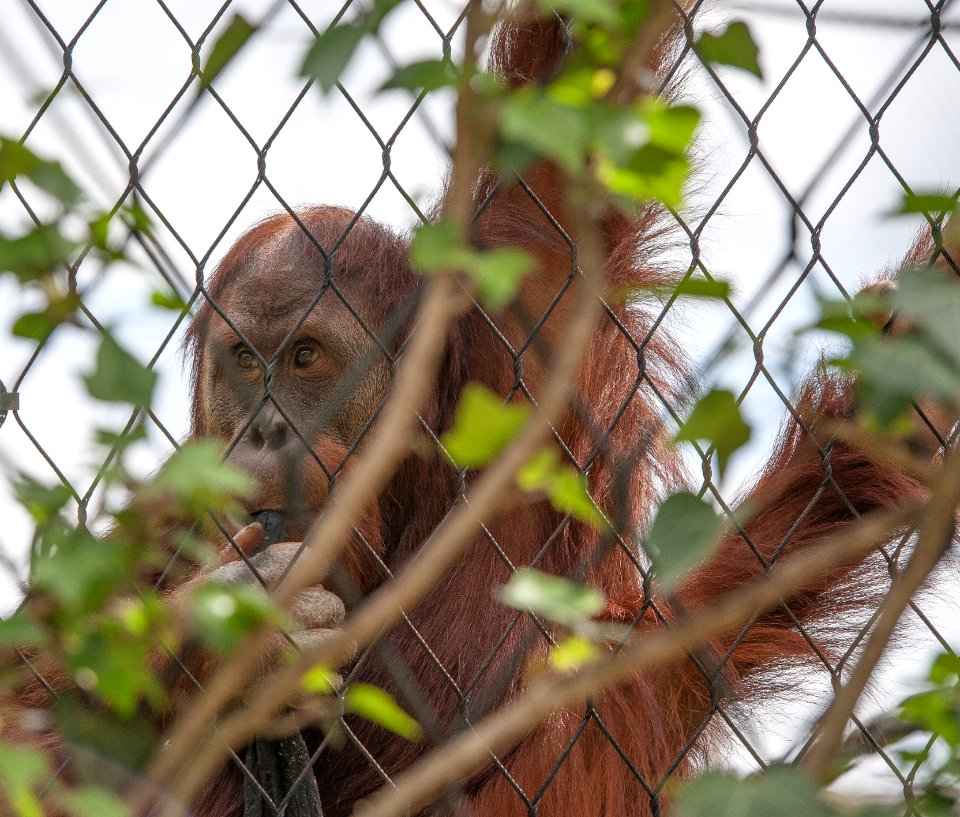 Zoo Basel / Wie wär's draussen ?