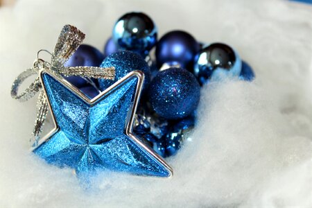 Background poinsettia jewellery photo