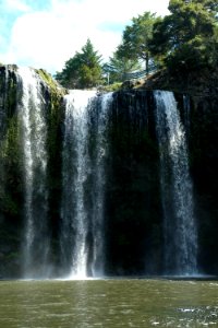Waterfall Around Kerikeri photo