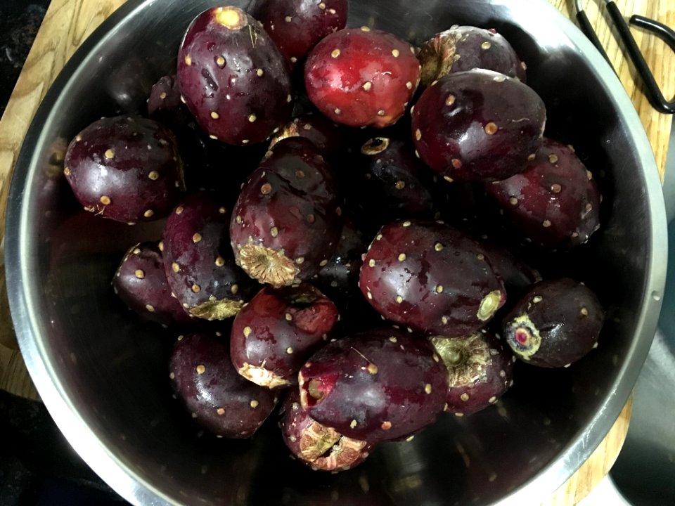 Prepping Prickly Pear Cactus
