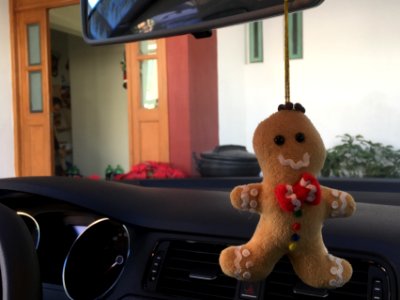 Gingerbread Man Wants to Go for a Ride photo