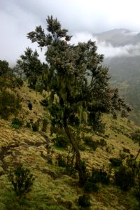 Simien Mountains National Park, Ethiopian Highlands