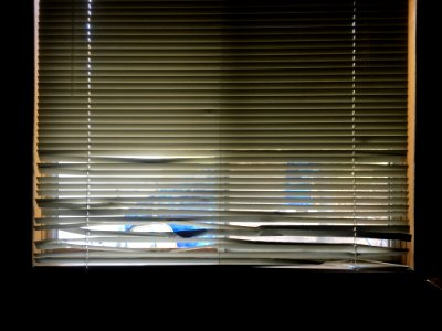 Someone in this house did a number on the blinds