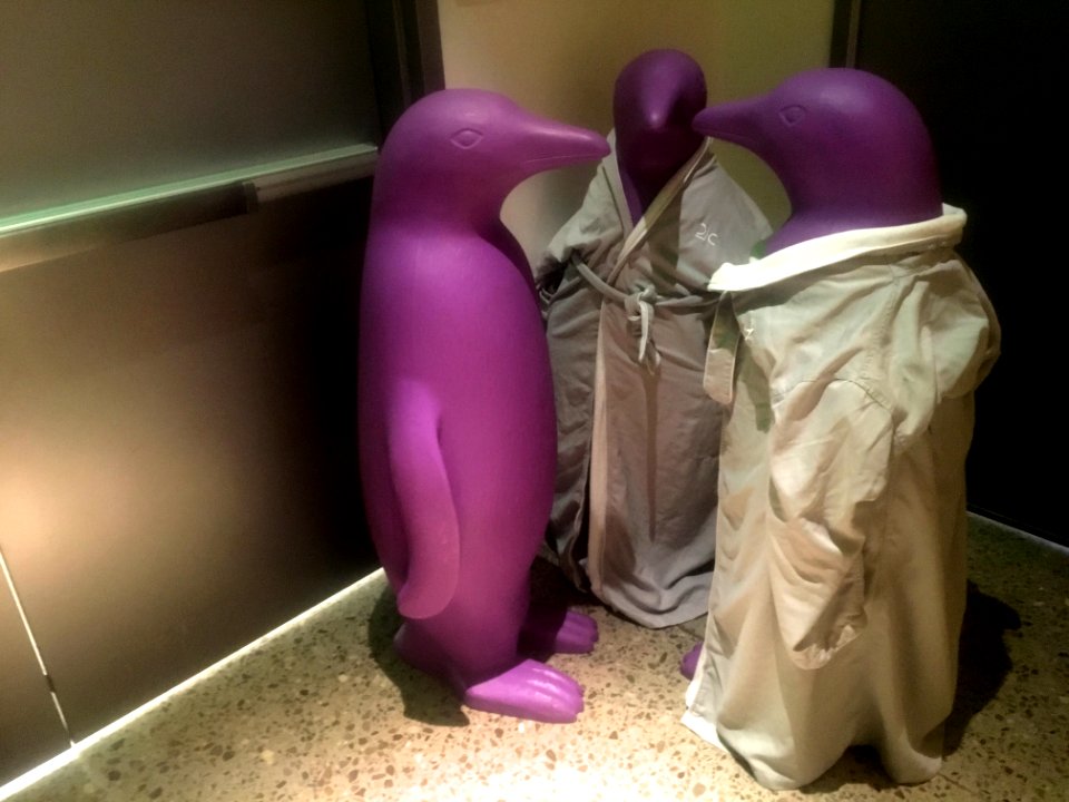 Penguin Hall Meeting