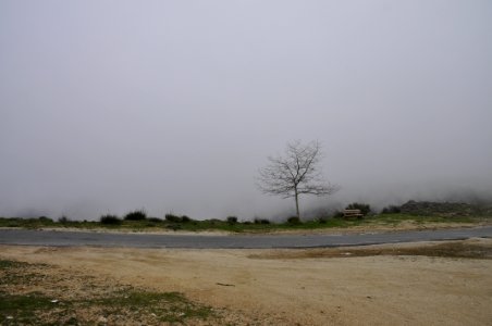 Fog in the mountain photo