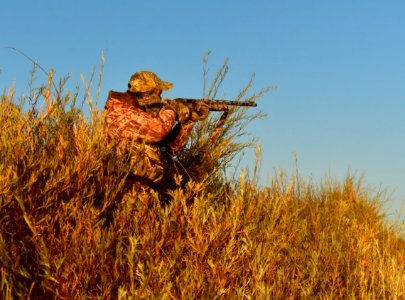 Waterfowl Hunting photo