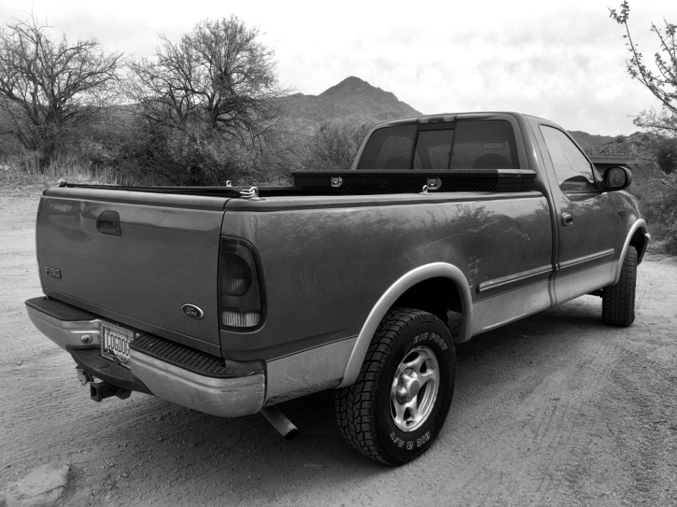Out in the Desert
