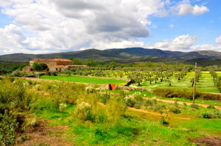 Primavera en Abadía photo