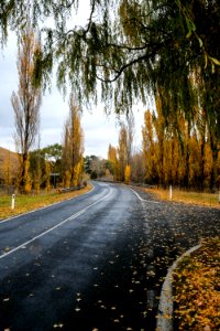 Herbstfarben Um Canberra