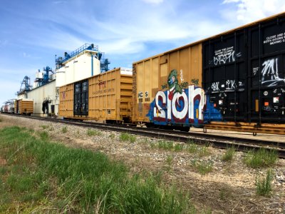 Railcars and Seed Plants photo