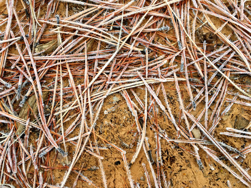 Pickup Sticks