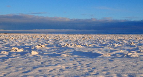 Sage steppe in winter at Seedskadee National Wildlife Refuge
