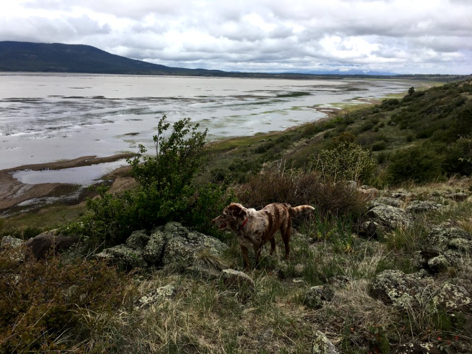 By The Shores of Mormon Lake