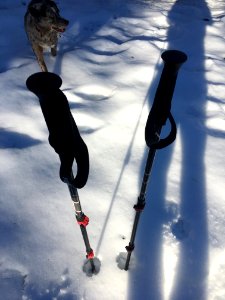 Snow Shoeing