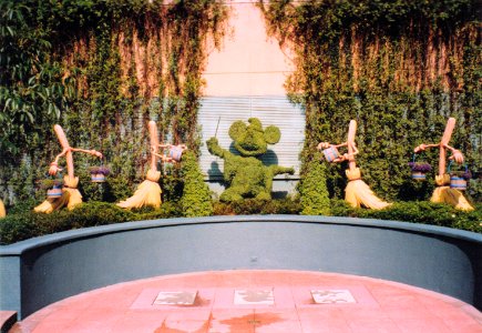 Animation Area