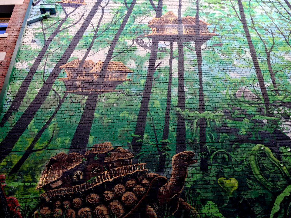On The Backs of Turtles
