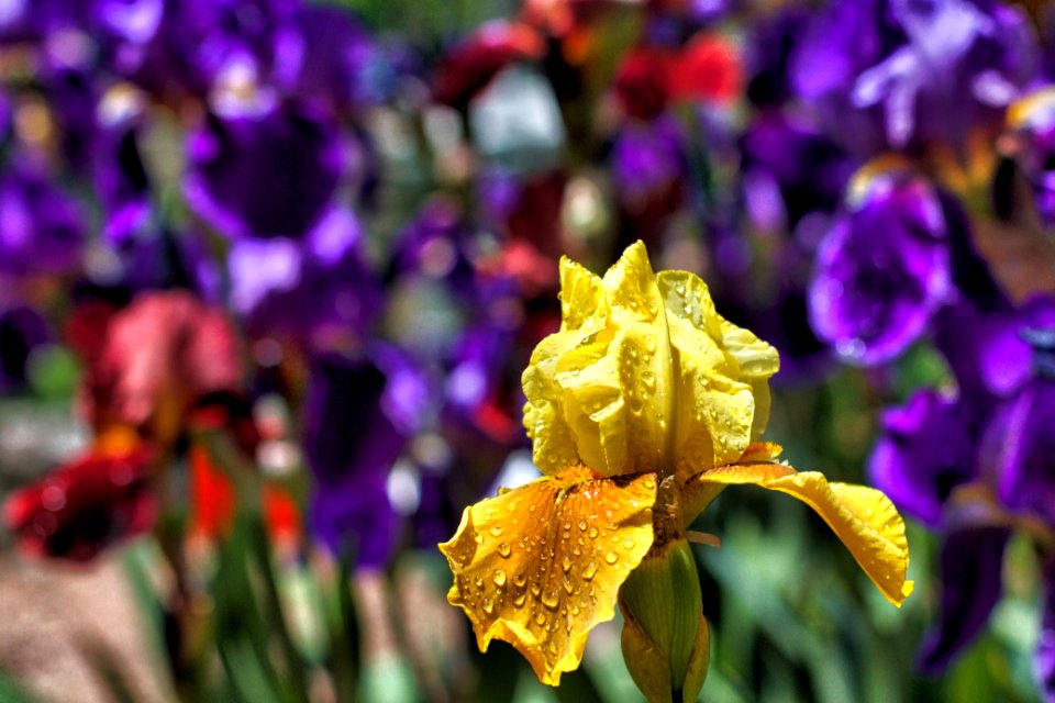 2015/365/133 Out in Front