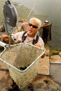 Harvesting a fish rearing pond
