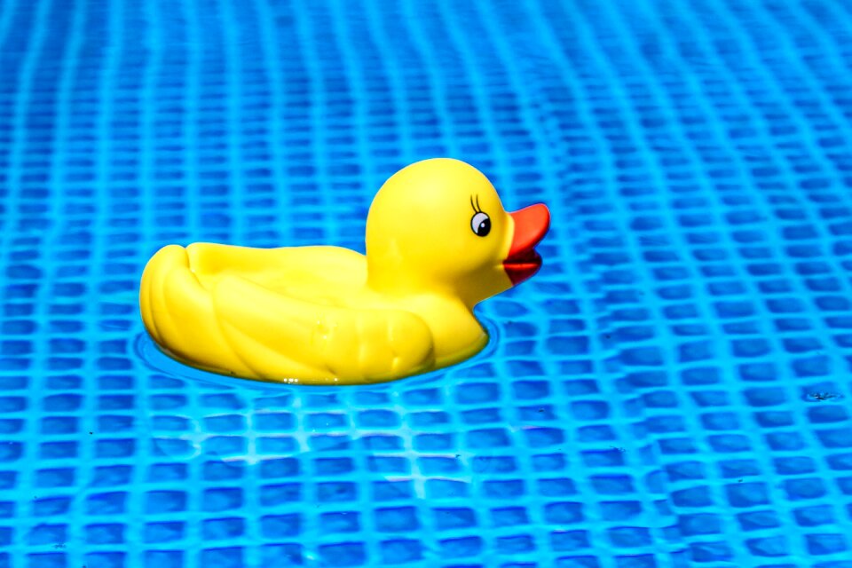 Swim water holidays