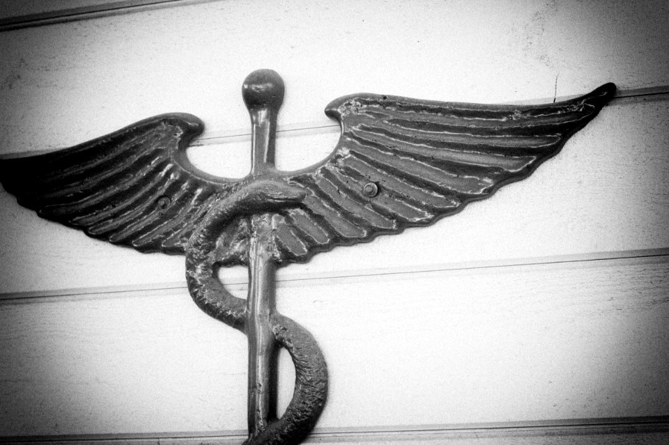 2009/365/309 Snake on a Stick