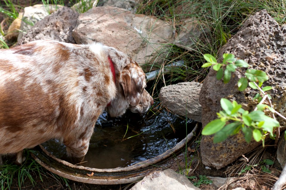 Dude, Your are in the well!