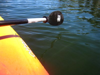 Row, Row, Row My Kayak