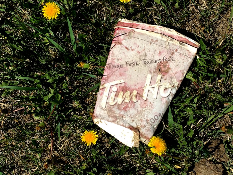 Tim's in the Grass