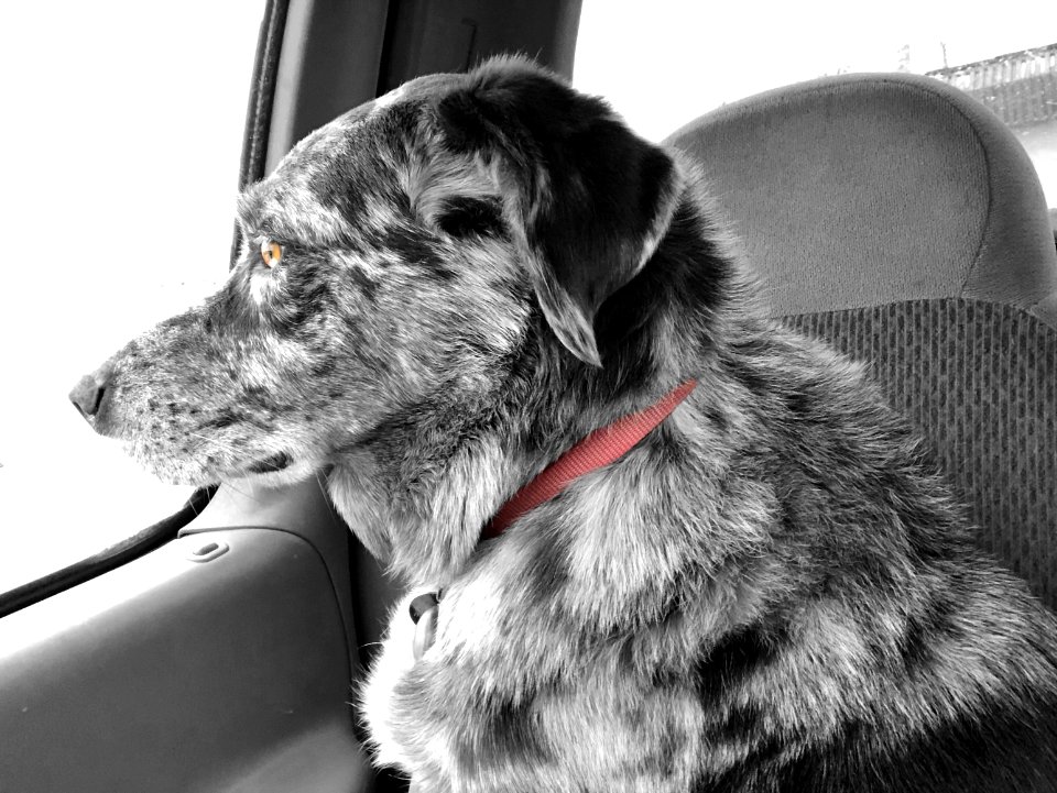 Watching the World Go By