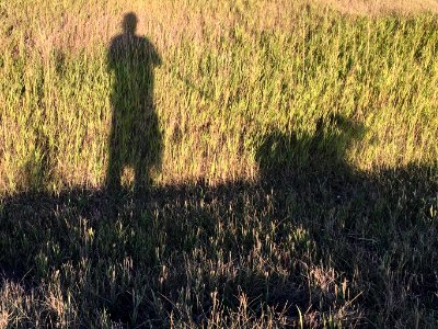 Shadow Walking photo