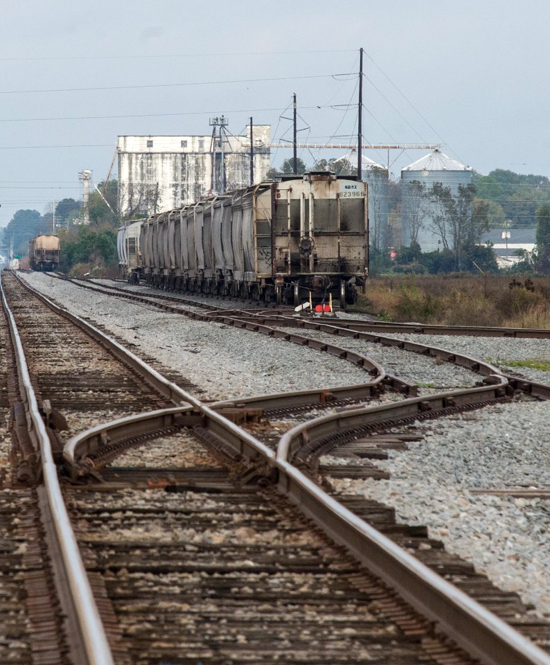 20151110-RD-LSC-0775