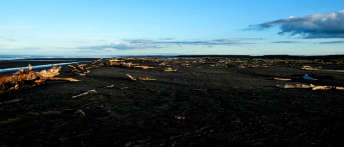 Koitiata Beach photo