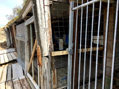 Ye Old Boat Houses