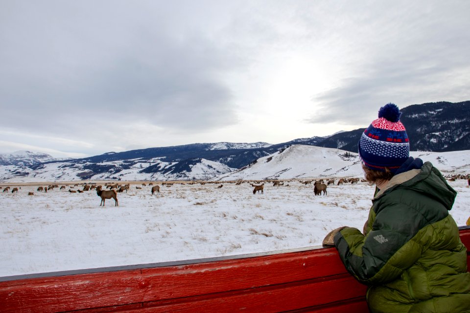 Winter Sleigh Ride