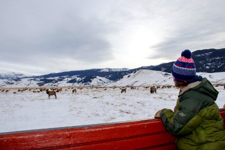 Winter Sleigh Ride