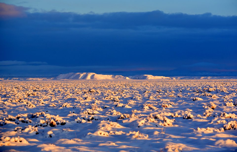 Sage steppe in winter at Seedskadee National Wildlife Refuge