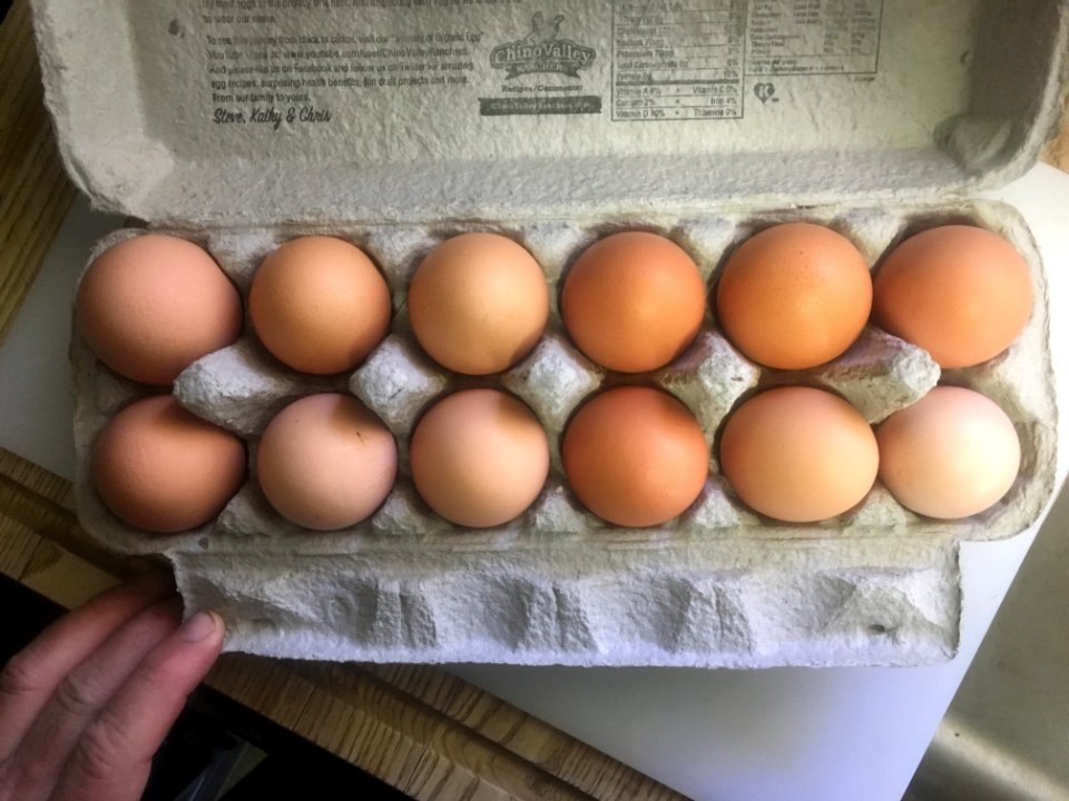 Neighbors With Chickens...