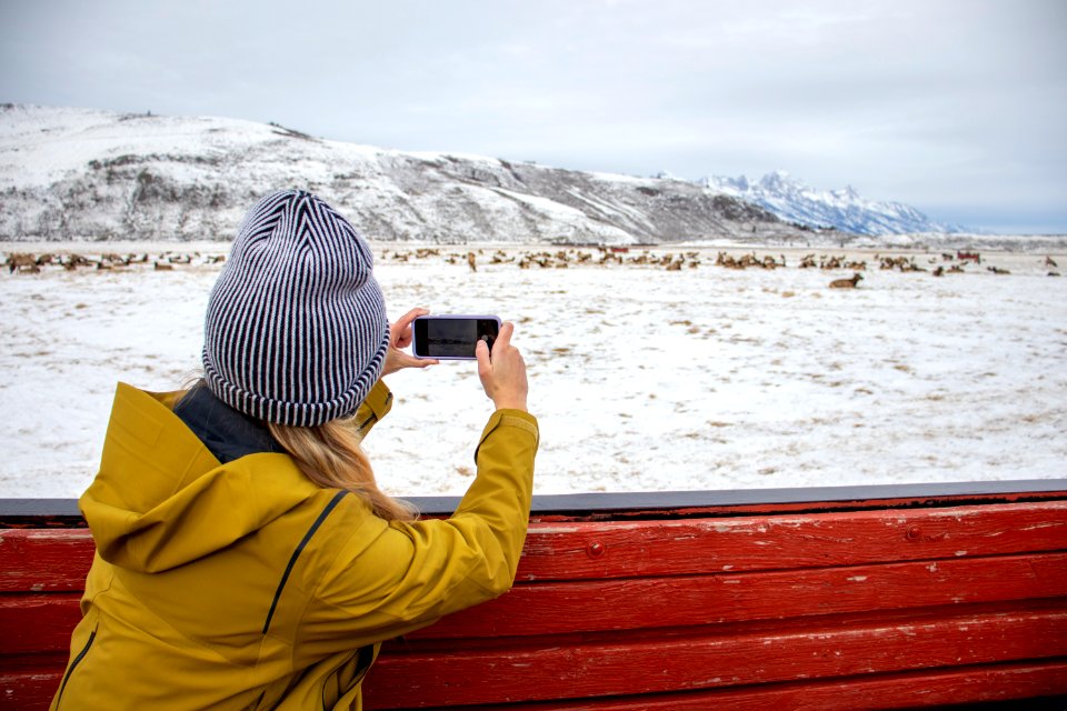 Winter Sleigh Ride