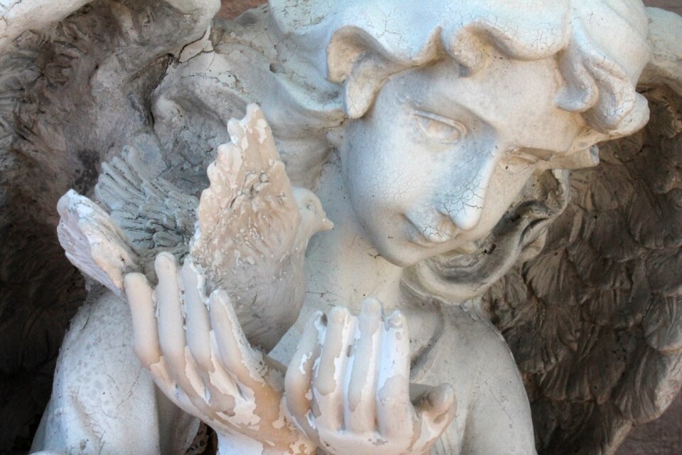 Heaven flight angelic