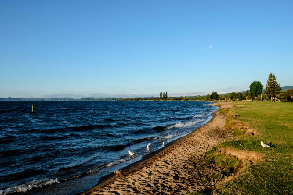 Holdens Bay Late In The Day