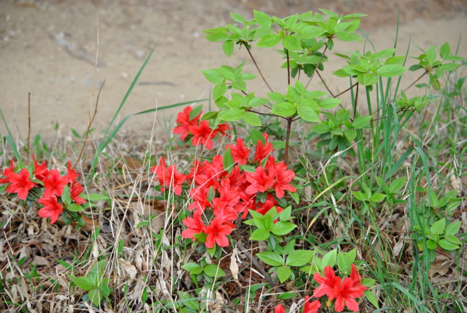 Bukhansan National Park