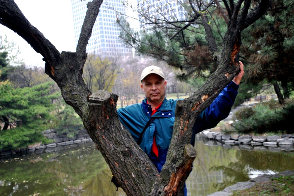 Yeouido Park Spring 2016