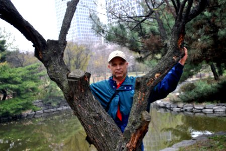 Yeouido Park Spring 2016