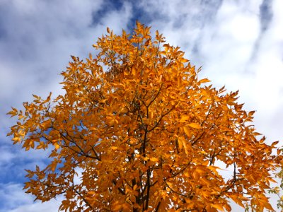It's Autumn Here Before the Calendar Says So