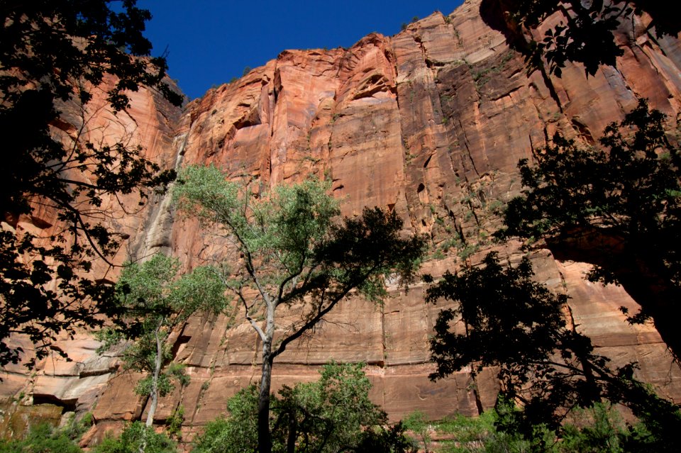Grand Walls of Zion