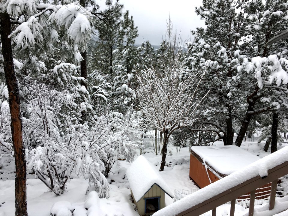 First Sight of First Snow