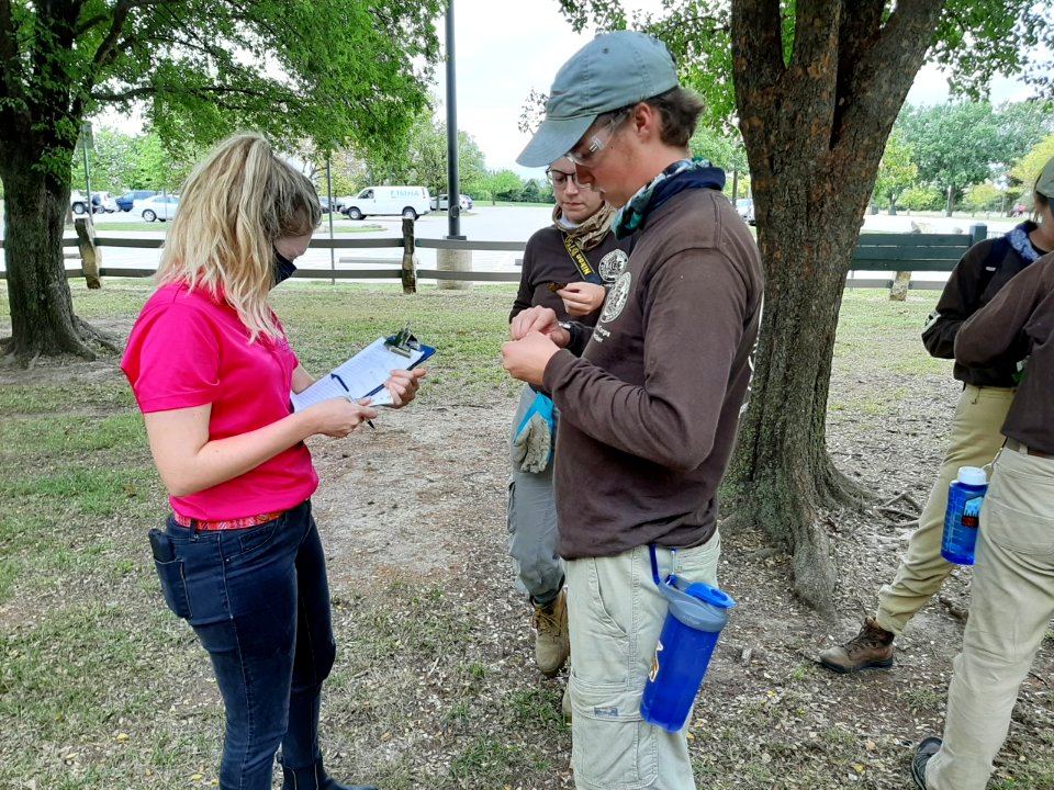 Monarch tagging at Great Plains Nature Center