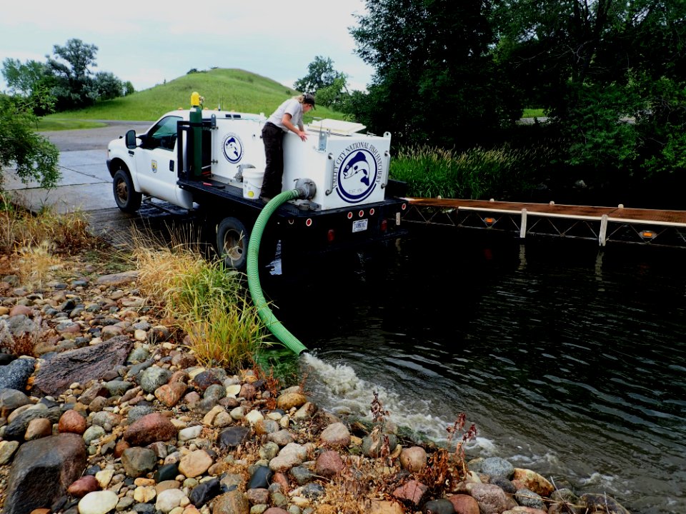 Stocking fish in Lake Ashtabula