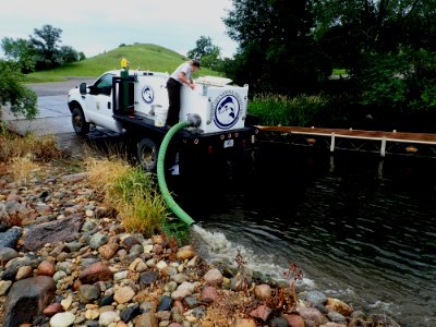 Stocking fish in Lake Ashtabula photo