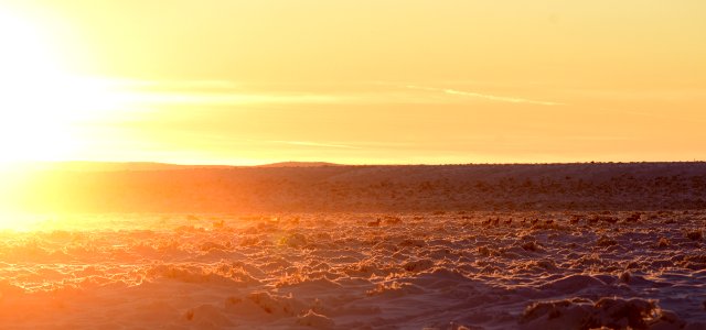 Sage steppe in winter at Seedskadee National Wildlife Refuge
