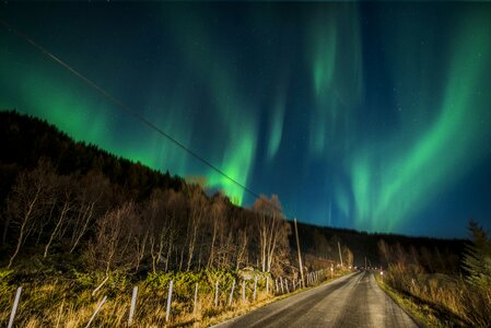 Night green sky photo